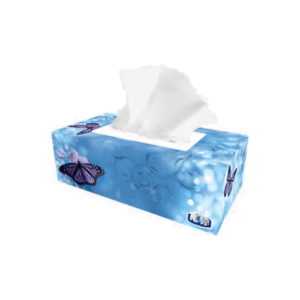 Tissue Box pack of 12